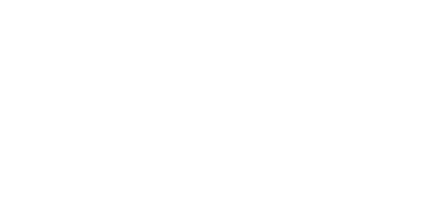 Annamaria Cammilli