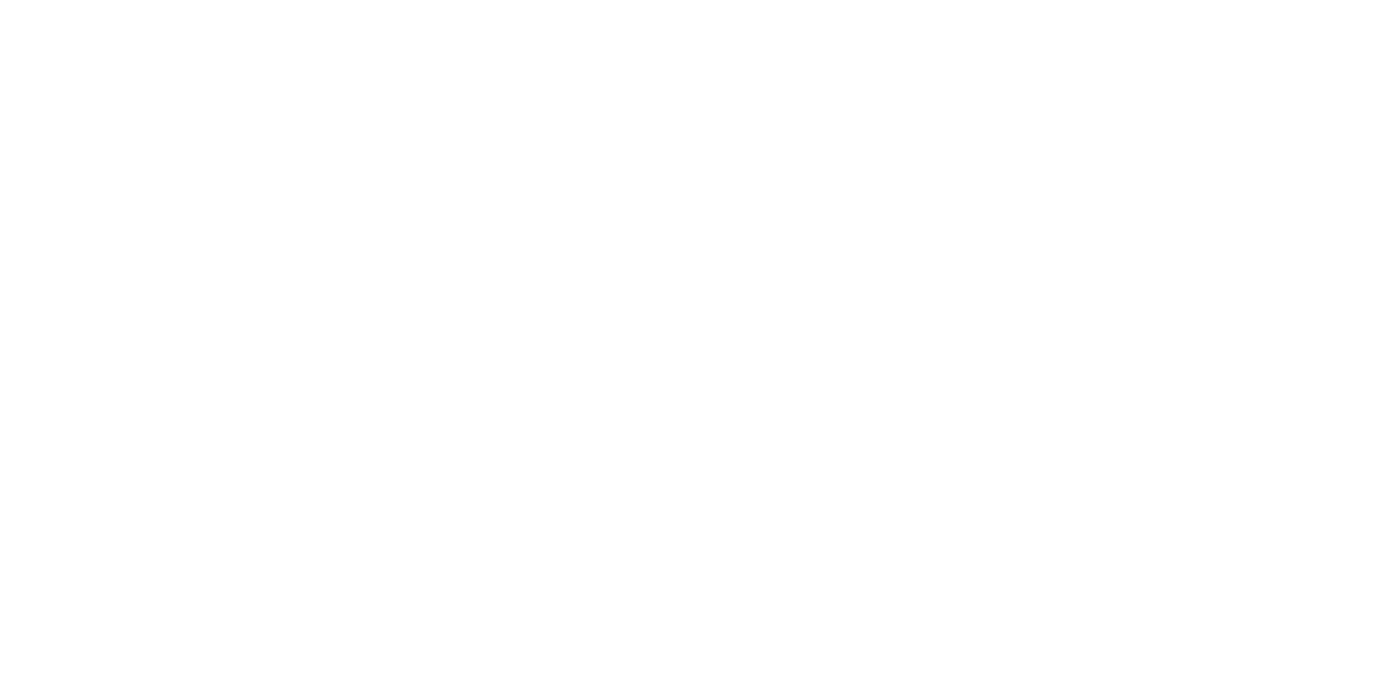 Volpe Gioielli