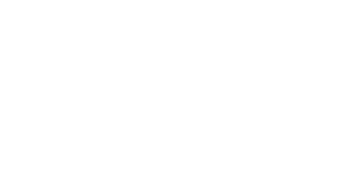 Zironi